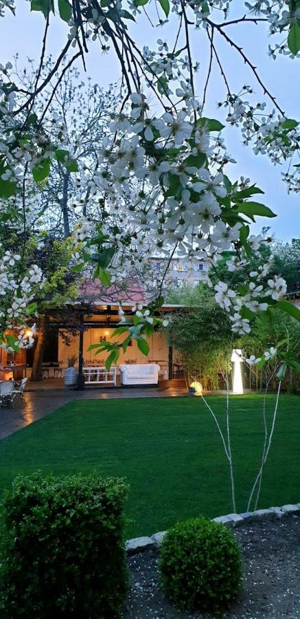 Hotel Vanilla Temeşvar Dış mekan fotoğraf